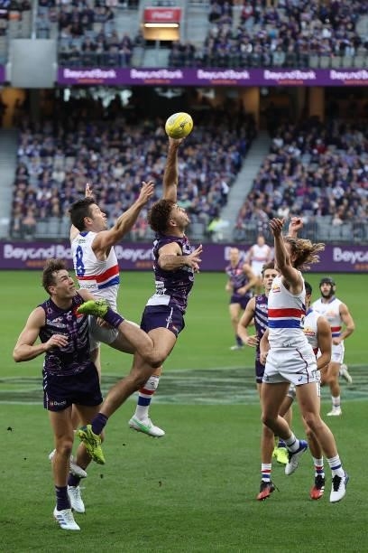 Stefan Martin of the Bulldogs and Griffin Logue of the Dockers contest for the ball during the round 12 AFL match between the Fremantle Dockers and...