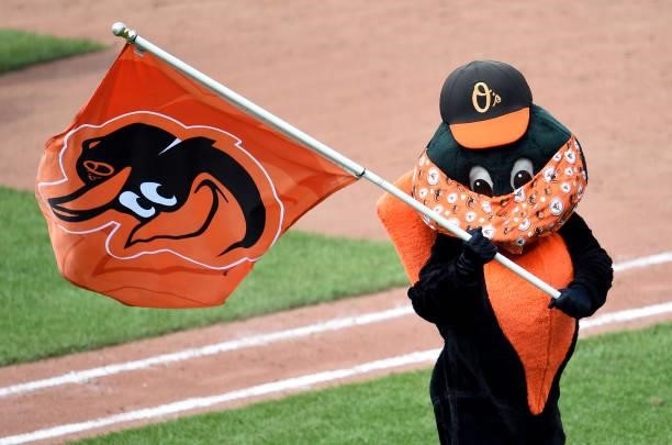 The Baltimore Orioles mascot celebrates after a 18-5 victory against the Cleveland Indians at Oriole Park at Camden Yards on June 06, 2021 in...