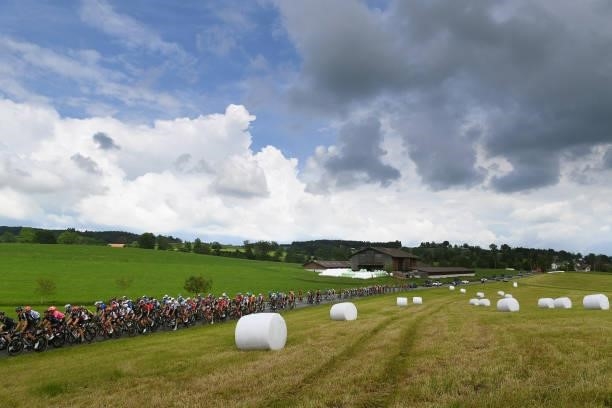 The Peloton passing through a field with bales during the 84th Tour de Suisse 2021, Stage 3 a 185km stage from Lachen to Pfaffnau 509m / Landscape /...