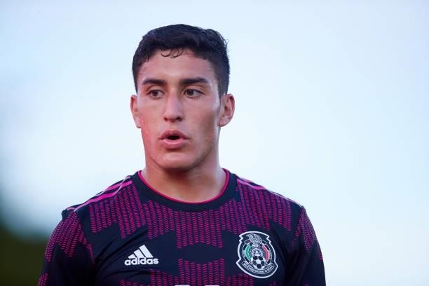 Roberto Carlos Alvarado Hernandez of Mexico looks on during a International Friendly Match between Mexico and Saudi Arabia on June 08, 2021 in...