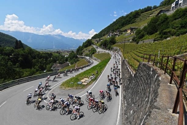 The peloton passing through Aigle vineyard landscape during the 84th Tour de Suisse 2021, Stage 5 a 175,2km stage from Gstaad to Leukerbad 1385m /...