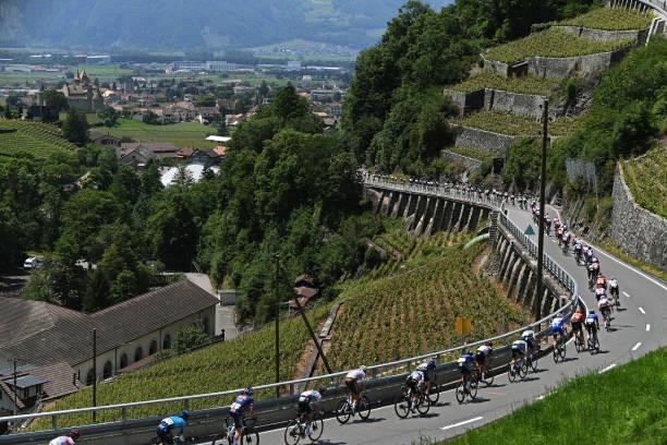 The peloton passing through Aigle vineyard landscape during the 84th Tour de Suisse 2021, Stage 5 a 175,2km stage from Gstaad to Leukerbad 1385m /...