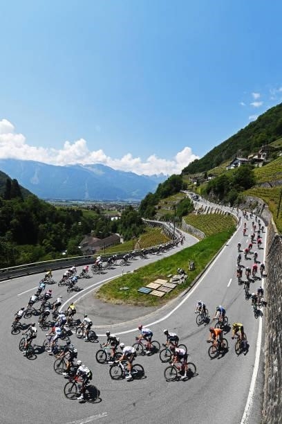 The peloton passing through Aigle vineyards landscape during the 84th Tour de Suisse 2021, Stage 5 a 175,2km stage from Gstaad to Leukerbad 1385m /...