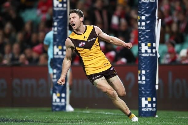 Liam Shiels of the Hawks celebrates a goal during the round 13 AFL match between the Sydney Swans and the Hawthorn Hawks at Sydney Cricket Ground on...