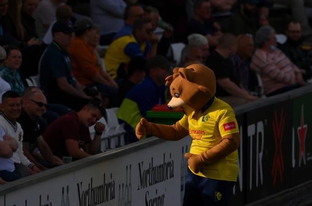 The Durham mascot interacts with the crowd during the Vitality T20 Blast match between Durham Cricket and Yorkshire Vikings at Emirates Riverside on...