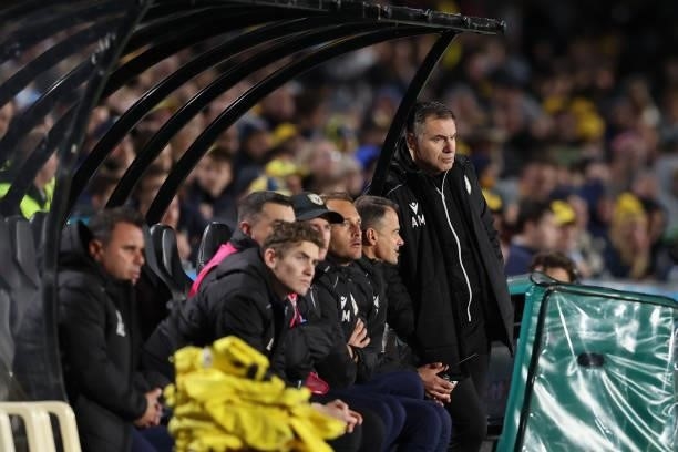 Ante Milicic coach of Macarthur during the A-League Elimination Final match between Central Coast Mariners and Macarthur FC at Central Coast Stadium,...