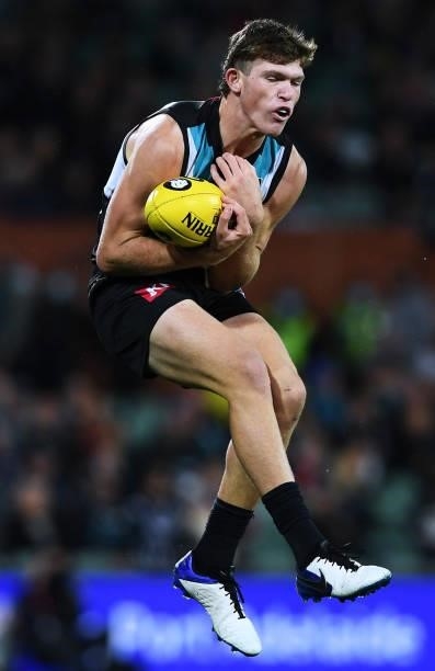 Mitch Georgiades of Port Adelaide marks during the round 15 AFL match between the Port Adelaide Power and the Sydney Swans at Adelaide Oval on June...