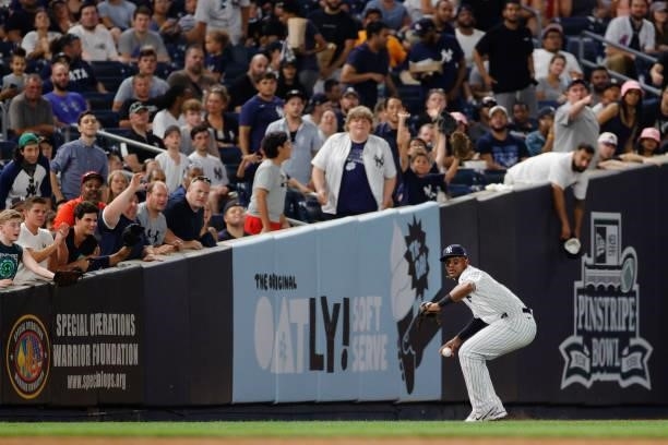 Miguel Andujar of the New York Yankees looks to throw from left field during the sixth inning against the Los Angeles Angels at Yankee Stadium on...