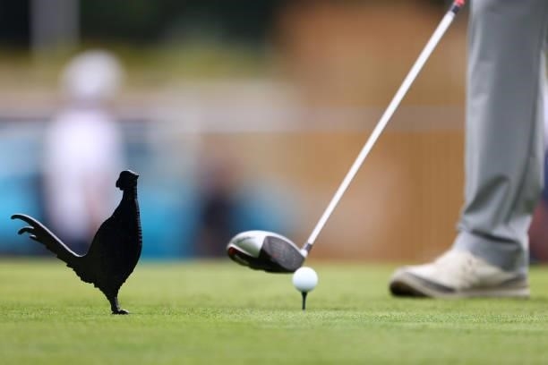 Mount Juliet pheasant tee markers on show during a practice day prior to The Dubai Duty Free Irish Open at Mount Juliet Golf Club on June 30, 2021 in...