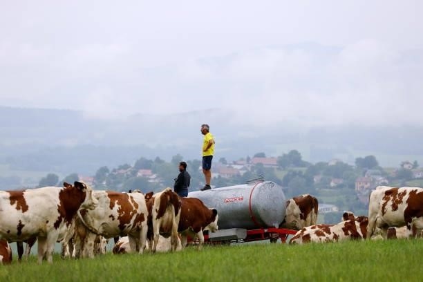 Cows farmers during the 108th Tour de France 2021, Stage 8 a 150,8km stage from Oyonnax to Le Grand-Bornand / @LeTour / #TDF2021 / on July 03, 2021...