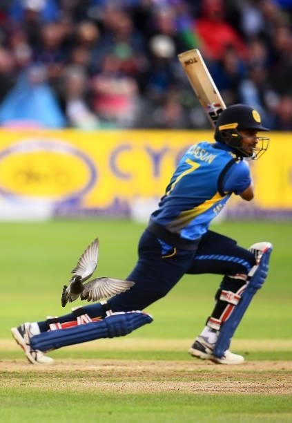 Dasun Shanaka of Sri Lanka plays a shot as a pigeon flys into the air during the 3rd ODI match between England and Sri Lanka at Bristol County Ground...