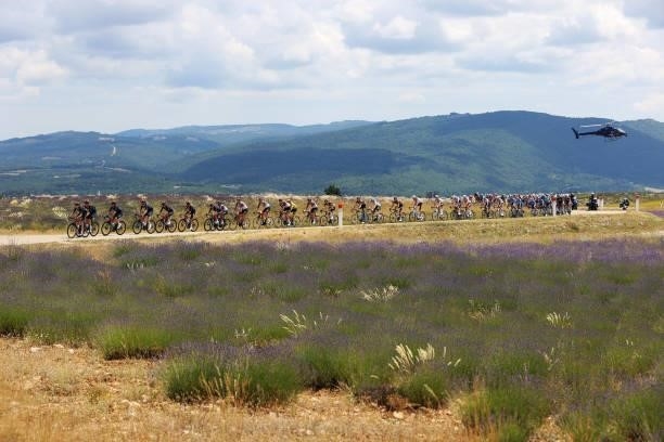 Tadej Pogačar of Slovenia and UAE-Team Emirates yellow leader jersey & The peloton passing through flowery landscape during the 108th Tour de France...