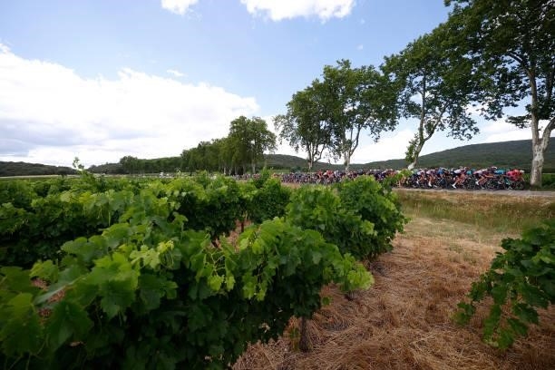 The peloton passing through vineyard landscape during the 108th Tour de France 2021, Stage 12 a 159,4km stage from Saint-Paul-Trois-Chateaux to Nimes...