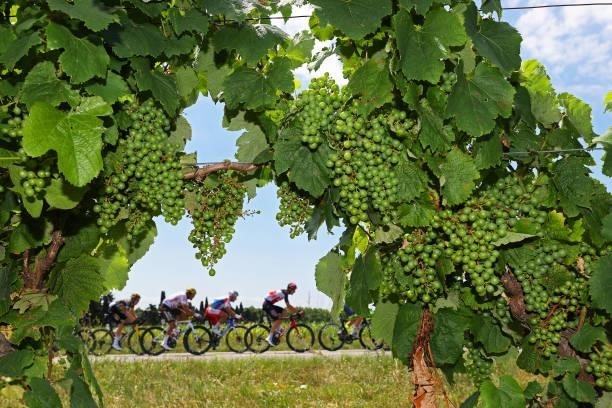 Greg Van Avermaet of Belgium and AG2R Citroën Team, The Peloton passing through a Vineyards field during the 108th Tour de France 2021, Stage 14 a...