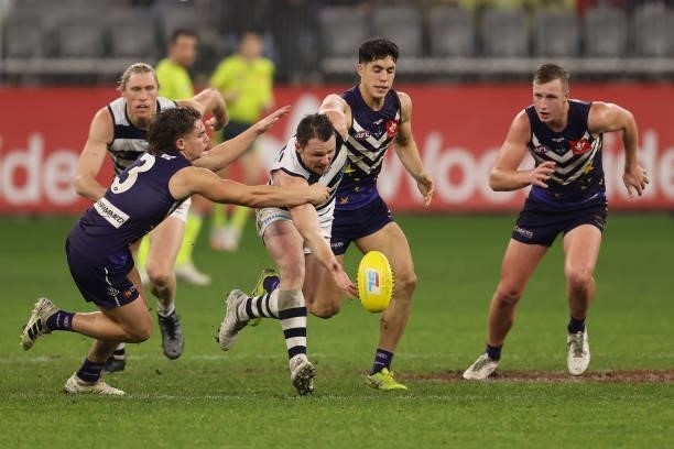 Patrick Dangerfield of the Cats contests for the ball against Caleb Serong of the Dockers during the round 18 AFL match between the Fremantle Dockers...
