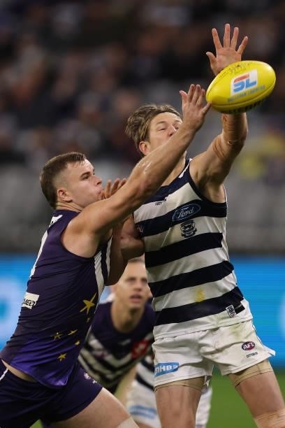 Sean Darcy of the Dockers and Rhys Stanley of the Cats contest the ruck during the round 18 AFL match between the Fremantle Dockers and Geelong Cats...