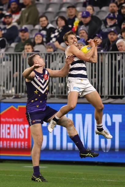 Tom Atkins of the Cats marks the ball against Sean Darcy of the Dockers during the round 18 AFL match between the Fremantle Dockers and Geelong Cats...