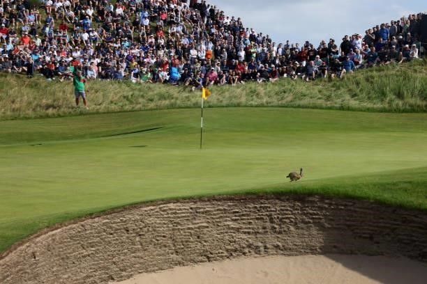 Hare is seen on the 6th green during Day One of The 149th Open at Royal St George’s Golf Club on July 15, 2021 in Sandwich, England.