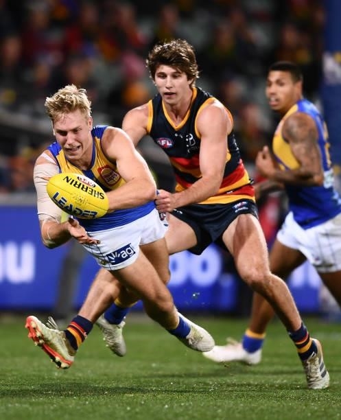 Oscar Allen of the Eagles competes with Jordan Butts of the Crows during the round 18 AFL match between Adelaide Crows and West Coast Eagles at...