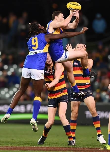 Jeremy McGovern of the Eagles marks over Reilly O'Brien of the Crows during the round 18 AFL match between Adelaide Crows and West Coast Eagles at...