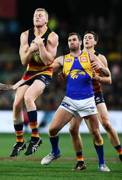 Reilly O'Brien of the Crows marks in front of Jack Darling of the Eagles during the round 18 AFL match between Adelaide Crows and West Coast Eagles...