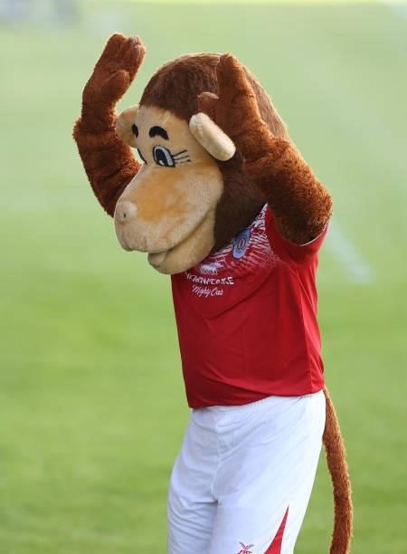 Gresty the Lion the mascot of Crewe Alexandra is seen prior to the Pre-Season friendly match between Crewe Alexandra and Wolverhampton Wanderers at...