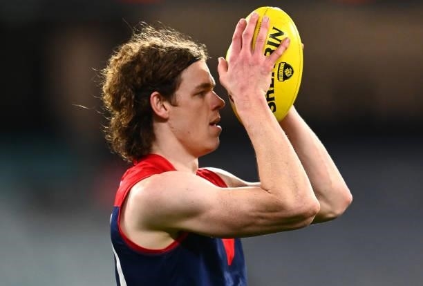 Ben Brown of the Demons lines up a shot at goal during the round 20 AFL match between Melbourne Demons and Western Bulldogs at Melbourne Cricket...