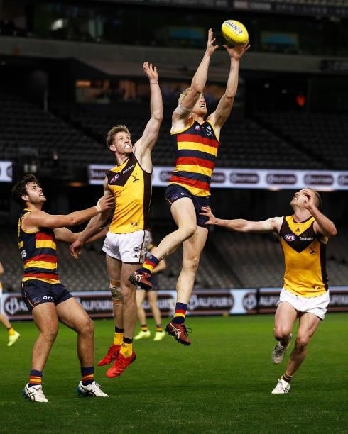 Elliott Himmelberg of the Crows marks the ball during the round 20 AFL match between Adelaide Crows and Hawthorn Hawks at Marvel Stadium on July 24,...