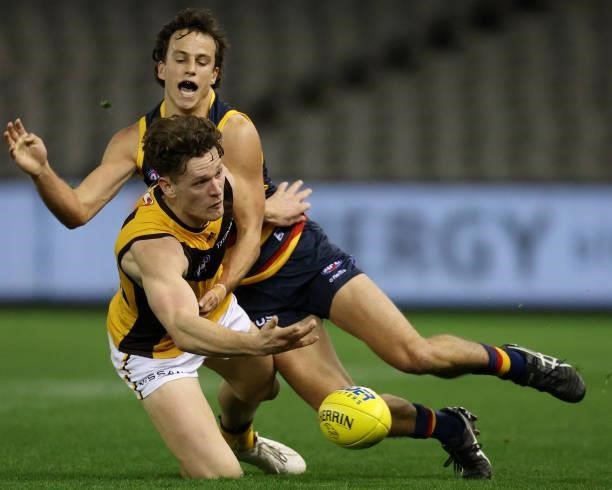 Jacob Koschitzke of the Hawks and Will Hamill of the Crows contest for the ball during the round 20 AFL match between Adelaide Crows and Hawthorn...
