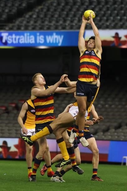 Jordon Butts of the Crows with a high leap during the round 20 AFL match between Adelaide Crows and Hawthorn Hawks at Marvel Stadium on July 24, 2021...
