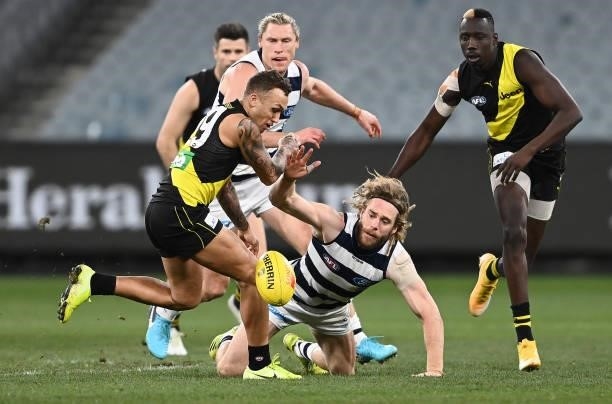 Shai Bolton of the Tigers and Cameron Guthrie of the Cats compete for the ball during the round 19 AFL match between Geelong Cats and Richmond Tigers...