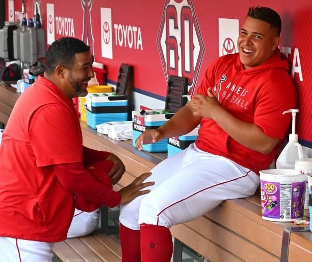 Catching coach Jose Molina and starting pitcher Jose Suarez of the Los Angeles Angels laugh in the dugout before the game against the Colorado...