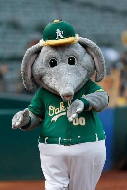 The Oakland Athletics mascot Stomper looks on before the game against the Texas Rangers at RingCentral Coliseum on August 06, 2021 in Oakland,...