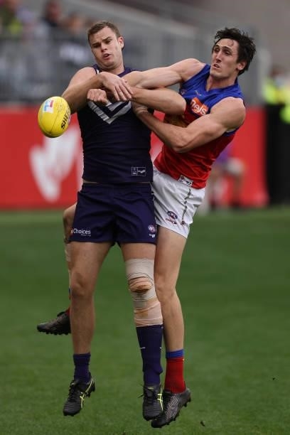 Sean Darcy of the Dockers and Oscar McInerney of the Lions in action during the round 21 AFL match between Fremantle Dockers and Brisbane Lions at...