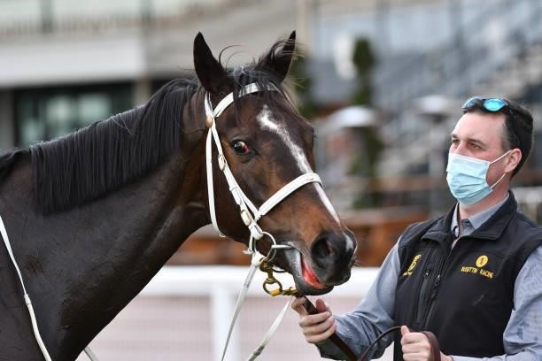 Sierra Sue after winning Race 8, the P.b. Lawrence Stakes, during Melbourne Racing at Caulfield Racecourse on August 14, 2021 in Melbourne, Australia.