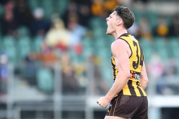 Jacob Koschitzke of the Hawks celebrates a goal during the round 22 AFL match between Hawthorn Hawks and Western Bulldogs at University of Tasmania...