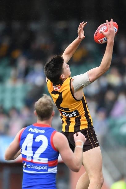 Mitch Lewis of the Hawks takes a mark during the round 22 AFL match between Hawthorn Hawks and Western Bulldogs at University of Tasmania Stadium on...