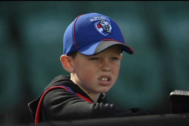 Western Bulldogs fan looks on during the round 22 AFL match between Hawthorn Hawks and Western Bulldogs at University of Tasmania Stadium on August...