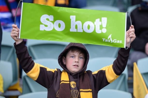 Fans are seen during the round 22 AFL match between Hawthorn Hawks and Western Bulldogs at University of Tasmania Stadium on August 14, 2021 in...