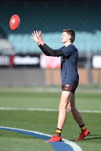 Mitch Lewis of the Hawks warms up during the round 22 AFL match between Hawthorn Hawks and Western Bulldogs at University of Tasmania Stadium on...