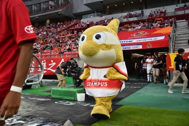 Golden Grampus-Kun Nagoya Grampus mascot is seen prior to the J.League Meiji Yasuda J1 match between Nagoya Grampus and Shonan Bellmare at the Toyota...