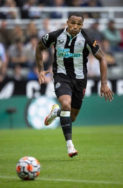 Callum Wilson of Newcastle United in action during the Premier League match between Newcastle United and West Ham United at St. James Park on August...