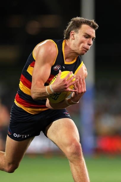 Riley Thilthorpe of the Crows marks the ball during the round 23 AFL match between Adelaide Crows and North Melbourne Kangaroos at Adelaide Oval on...