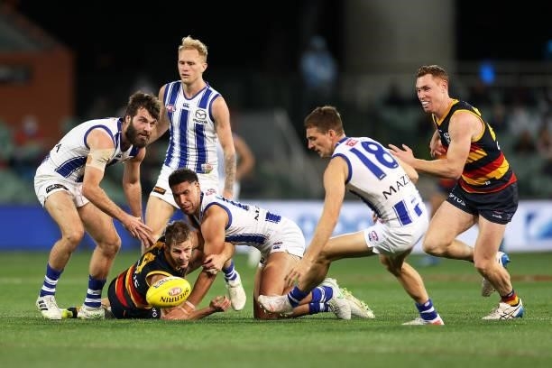 David Mackay of the Crows and Tom Lynch of the Crows compete for the ball during the round 23 AFL match between Adelaide Crows and North Melbourne...