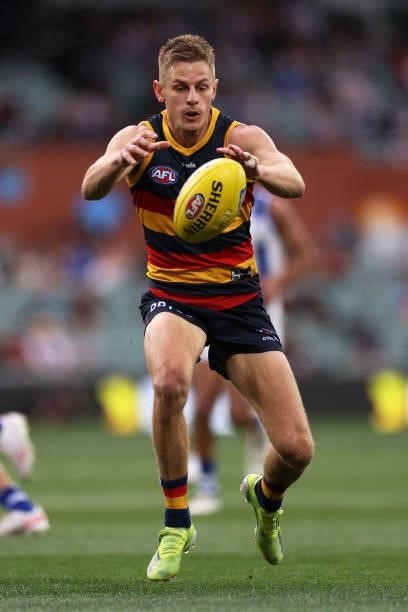 David Mackay of the Crows competes for the ball during the round 23 AFL match between Adelaide Crows and North Melbourne Kangaroos at Adelaide Oval...