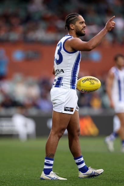 Aaron Hall of the Kangaroos looks upfield during the round 23 AFL match between Adelaide Crows and North Melbourne Kangaroos at Adelaide Oval on...