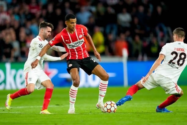 Rafa Silva of Benfica, Cody Gakpo of PSV and Julian Weigl of Benfica during the UEFA Champions League Play-Offs Leg Two match between PSV and Benfica...