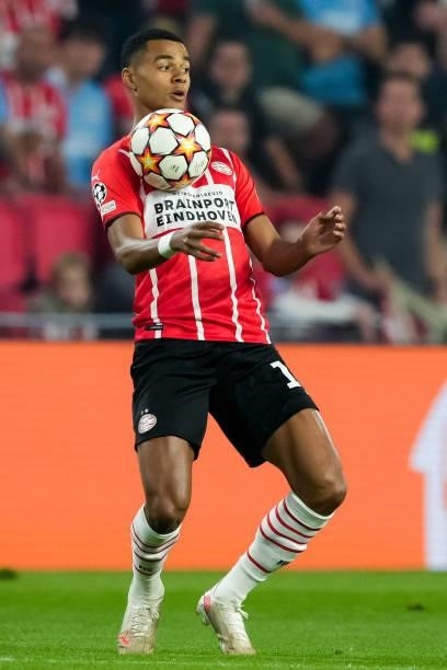 Cody Gakpo of PSV during the UEFA Champions League Play-Offs Leg Two match between PSV and Benfica at Philips Stadion on August 24, 2021 in...