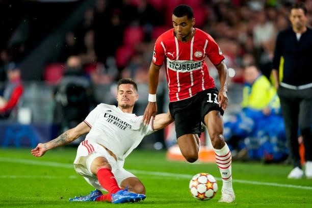 Julian Weigl of Benfica and Cody Gakpo of PSV during the UEFA Champions League Play-Offs Leg Two match between PSV and Benfica at Philips Stadion on...