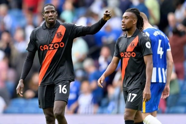 Abdoulaye Doucoure and Alex Iwobi of Everton during the Premier League match between Brighton & Hove Albion and Everton at American Express Community...